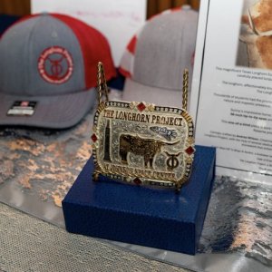 37-DSC_2234