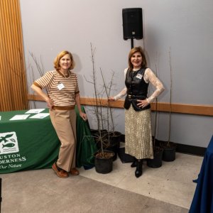 52-DSC_2268